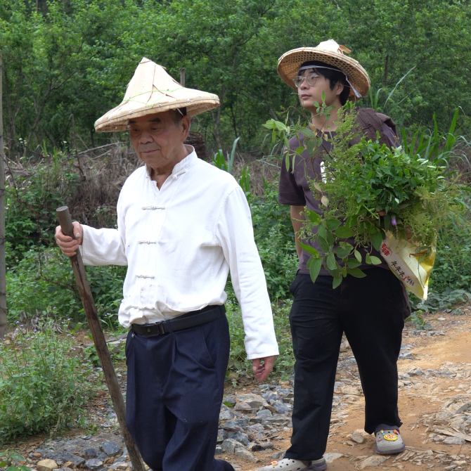 深山尋寶，草藥探索之旅